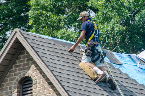 Best Storm Damage Roof Repair  in North Wilkesboro, NC
